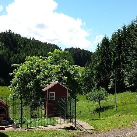 Ferienwohnung Ringwald Biederbach Baden-Württemberg Kültér fotó