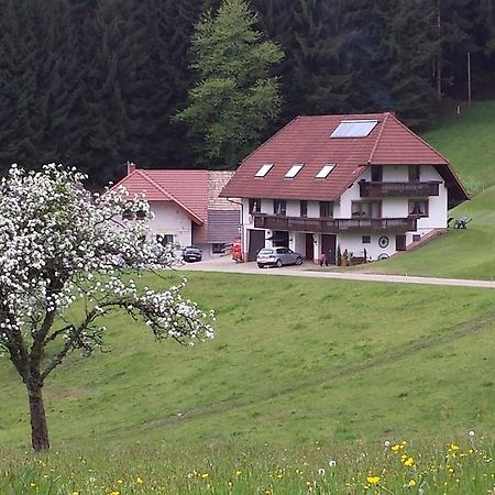 Ferienwohnung Ringwald Biederbach Baden-Württemberg Kültér fotó