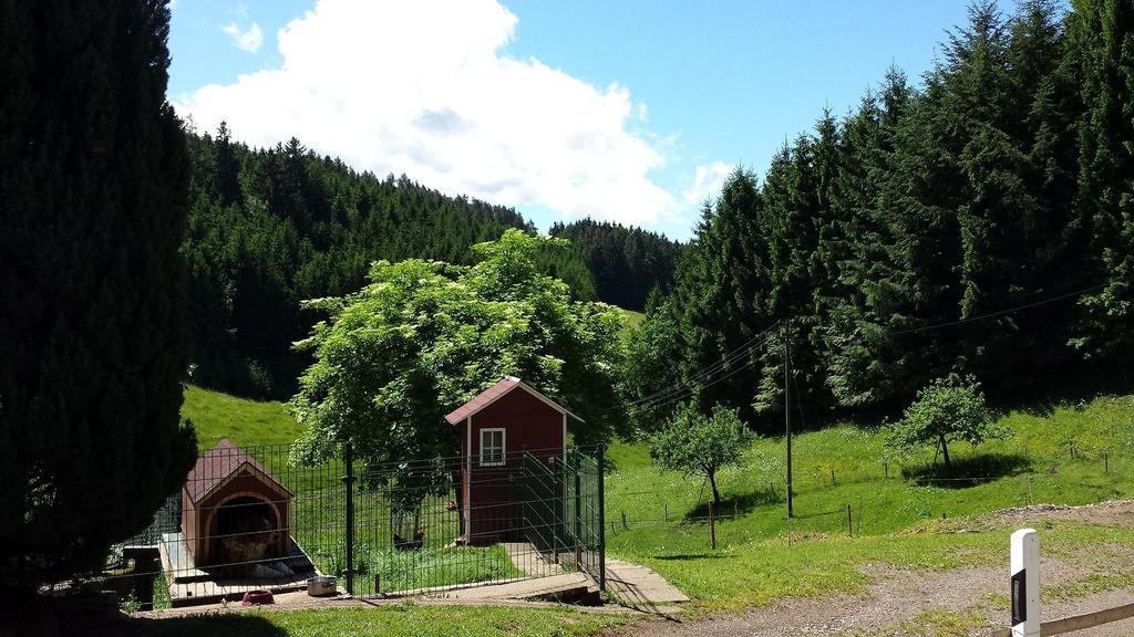 Ferienwohnung Ringwald Biederbach Baden-Württemberg Kültér fotó